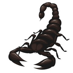 Black scorpion on a white background. Vector illustration