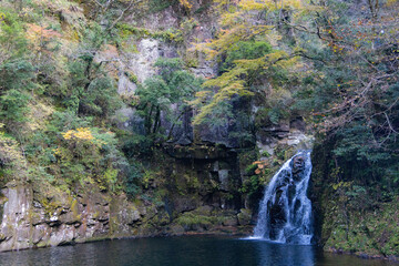 Fototapeta na wymiar 紅葉と滝
