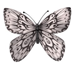 Colored butterfly dtjial oil painting. Design element for cards, patterns, wallpapers, posters. Realistic drawing. Element from the set.