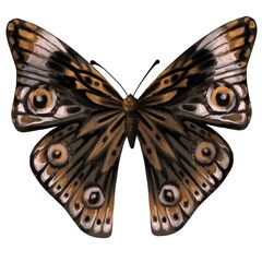 Colored butterfly dtjial oil painting. Design element for cards, patterns, wallpapers, posters. Realistic drawing. Element from the set.