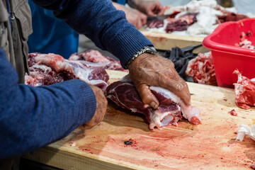 traditional slaughter of the Mallorcan black pig, Mallorca, Balearic Islands, Spain