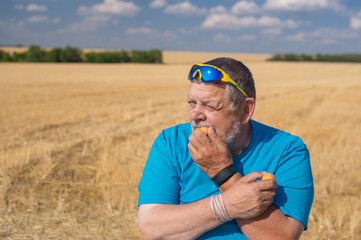 Outdoor portrait of a Ukrainian senior farmer  in sunglasses eating apricots swhile sitting  against an gricultural field