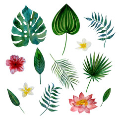 Watercolor tropical templates