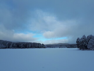 landscape with a view of snow-covered trees - Oslo