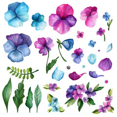 Watercolor summer flowers. Hand-drawn pansy flowers. Leaves, petals and flower arrangements. Blue violet shades. Design for cards, gifts, Mother's Day, Weddings and more