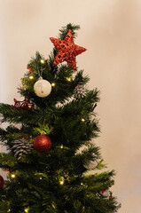 Christmas tree with decorations.