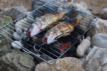 Cooking fish in the open air. Sea bass. Camping in the nature.