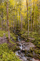 The Roethbach, a small creek near the Obersee Berchtesgadener Land, Bavaria, Germany.