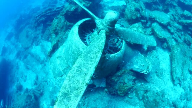 c47 airplane wreck underwater aircraft dakota metal on ocean floor scenery 