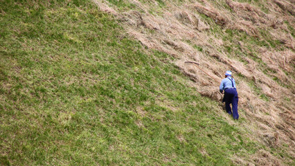Old farmer raking hay with an ancient rake on a mountain meadow on a slope in the Italian Alps