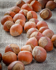 still life with hazelnuts on a table
