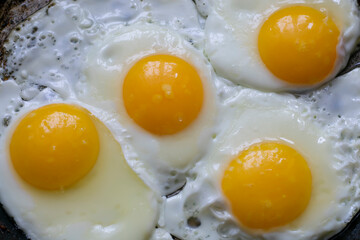 
Fried chicken eggs in a pan. Close-up.
