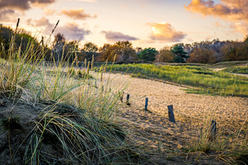 horizontal sundown scenery in the dunes of hamburg nature reserve called boberger niederung with...