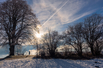Silhouette von Bäumen im Winter im Gegenlicht mit Sonne, Berge und Schnee