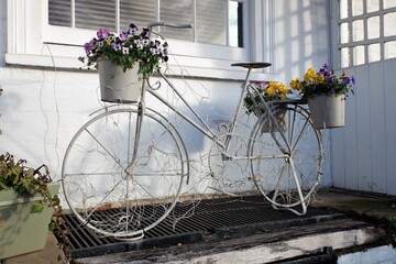 Fototapeta na wymiar Beautiful metal bicycle sculpture with flowers in front and rear buckets