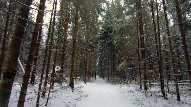Ride by car on a beautiful winter forest road. An SUV paves its way in the winter forest. Travel in winter by car