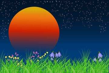 
Beautiful night meadow with orange sun.Sunrise landscape with copy space.Nighttime background with moon,starry sky and grass.Summer countryside field grass border and midnight sky.Vector illustration
