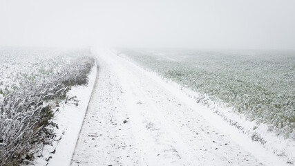 snowy path to trail away in winter fog