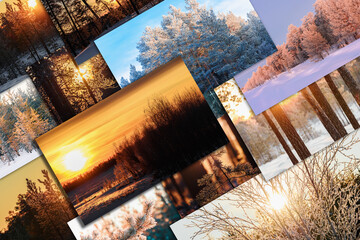 Forest at sunrise and sunset in winter. Collage of pine forest and nature.
