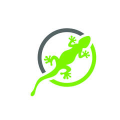 gecko logo