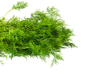 Close up view of green dill isolated on white background. Vegetables concept.