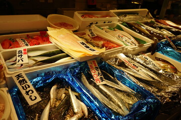 Variety of Seafood and Fish at Hakodate Morning Market in Hokkaido, Japan - 日本 北海道...