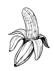 Banana sketch. Hand drawn illustration converted to vector. Black on transparent background