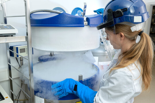 Kryokonservierung von Zellen und Gewebe im Stickstofflagertank, Biotechnologin öffnet Flüssigstickstoff Behälter. 