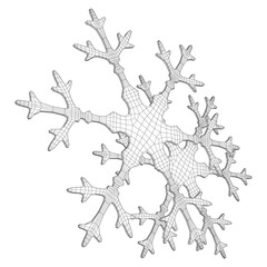 Snowflake Wireframe low poly mesh