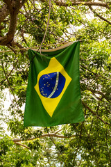 Bandeira do Brasil pendurada em uma árvore.