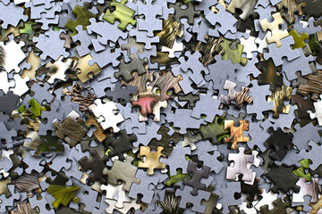 Pieces of the puzzle, in the process of collecting. Multi-colored puzzle. Puzzle with kittens part