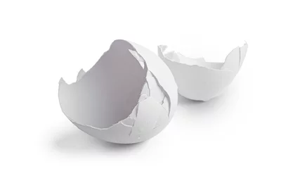 Rolgordijnen Eggshell isolated on a white background. High quality photo © jul_photolover