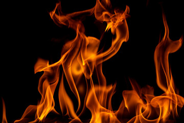 The flame were burning, the heat was hot, Black background