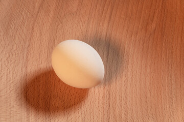 One Egg On Wood