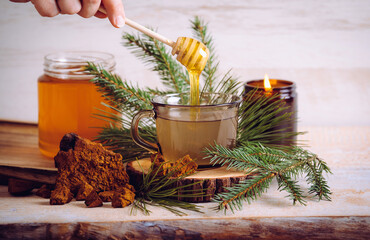 Spruce and pine needle tea with chaga mushroom Inonotus obliquus powder and honey. Tree branches and pieces of Chaga for decoration. Indoors home, healthy full of vitamin C.