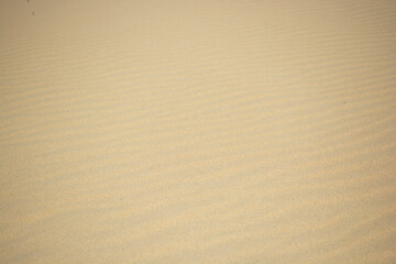 Minimal background of fine white sand with soft waves and shadows