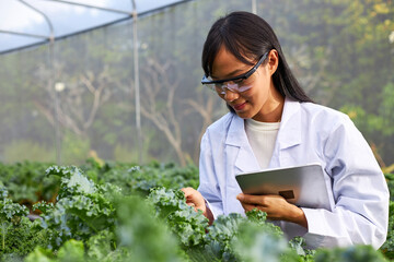 Geneticists, biologists, and scientists are studying the genetic structure of vegetables in a greenhouse.