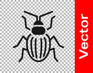 Black Chafer beetle icon isolated on transparent background. Vector.