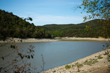 Summer landscape of Cypress Lake in Sukkо, Russia showing exposed roots and low water level