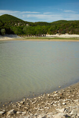 Summer landscape of Cypress Lake in Sukkо, Russia showing exposed roots