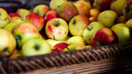 Red and yellow apples in a wooden basket