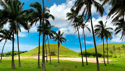 Palms in Anakena - Easter Island 