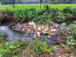Kerala ,India december17 ,2020 plastic waste and bottles floating in a small river left by careless people near a rice crops field in Kerala India