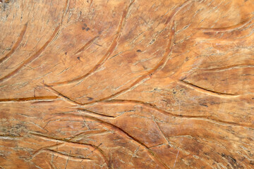 Wood carved background. Place for your text.
