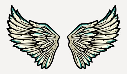 Pair of bird wings with feathers for design