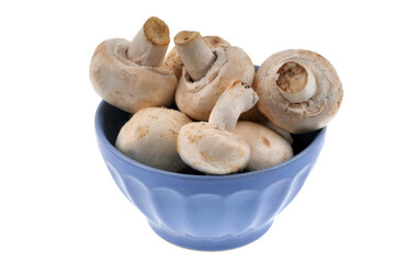 Bol de champignons crus en gros plan sur fond blanc