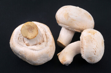 Champignons crus en gros plan sur fond noir