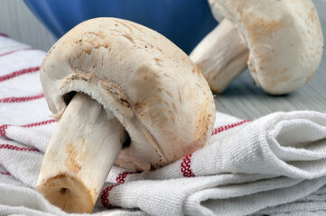 Champignon cru sur un torchon en gros plan