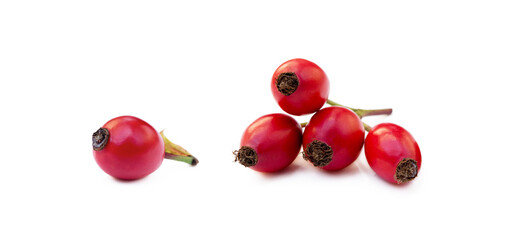 Ripe rose hip isolated on white background