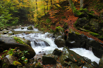 Waterfall in the autumn beech forest.